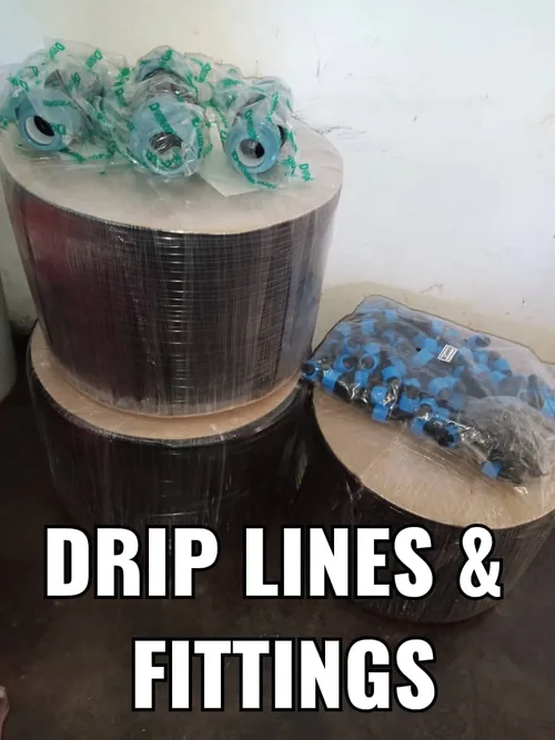 Roll of dripline ready for installation